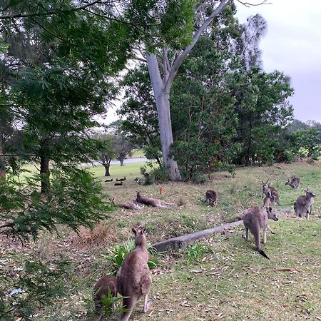Golf View Motel Sanctuary Point Luaran gambar