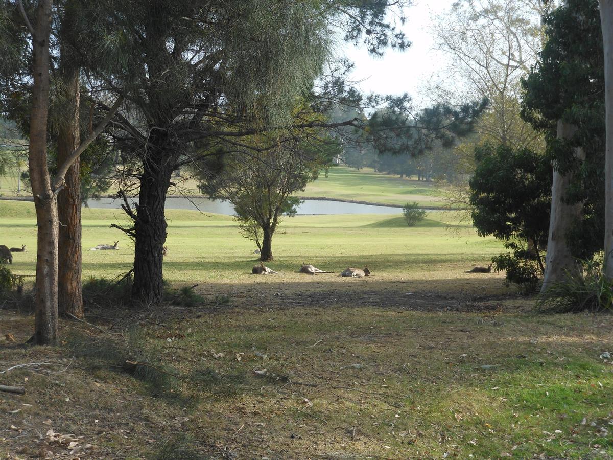 Golf View Motel Sanctuary Point Luaran gambar